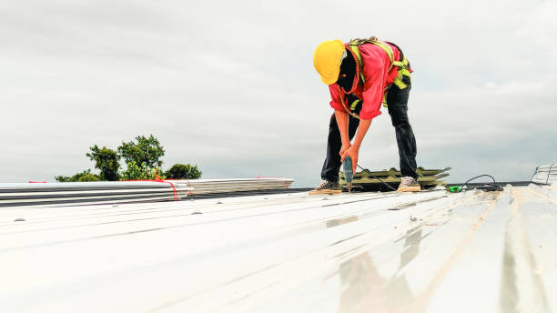 Best Roof Moss and Algae Removal  in Levittown, PA